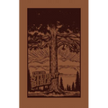 The Ceb Student Bible Limited Edition