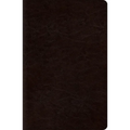 New Classic Reference Bible-ESV