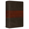 ESV Large Print Personal Size Bible, Red Letter (Trutone, Forest/Tan, Trail Design)